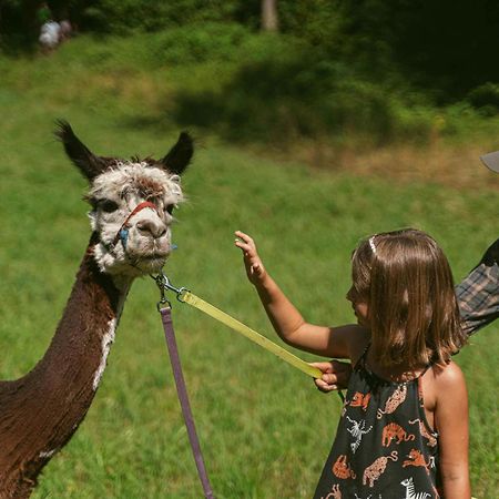 Meride Ca Stella Camping Del Monte San Giorgio מראה חיצוני תמונה
