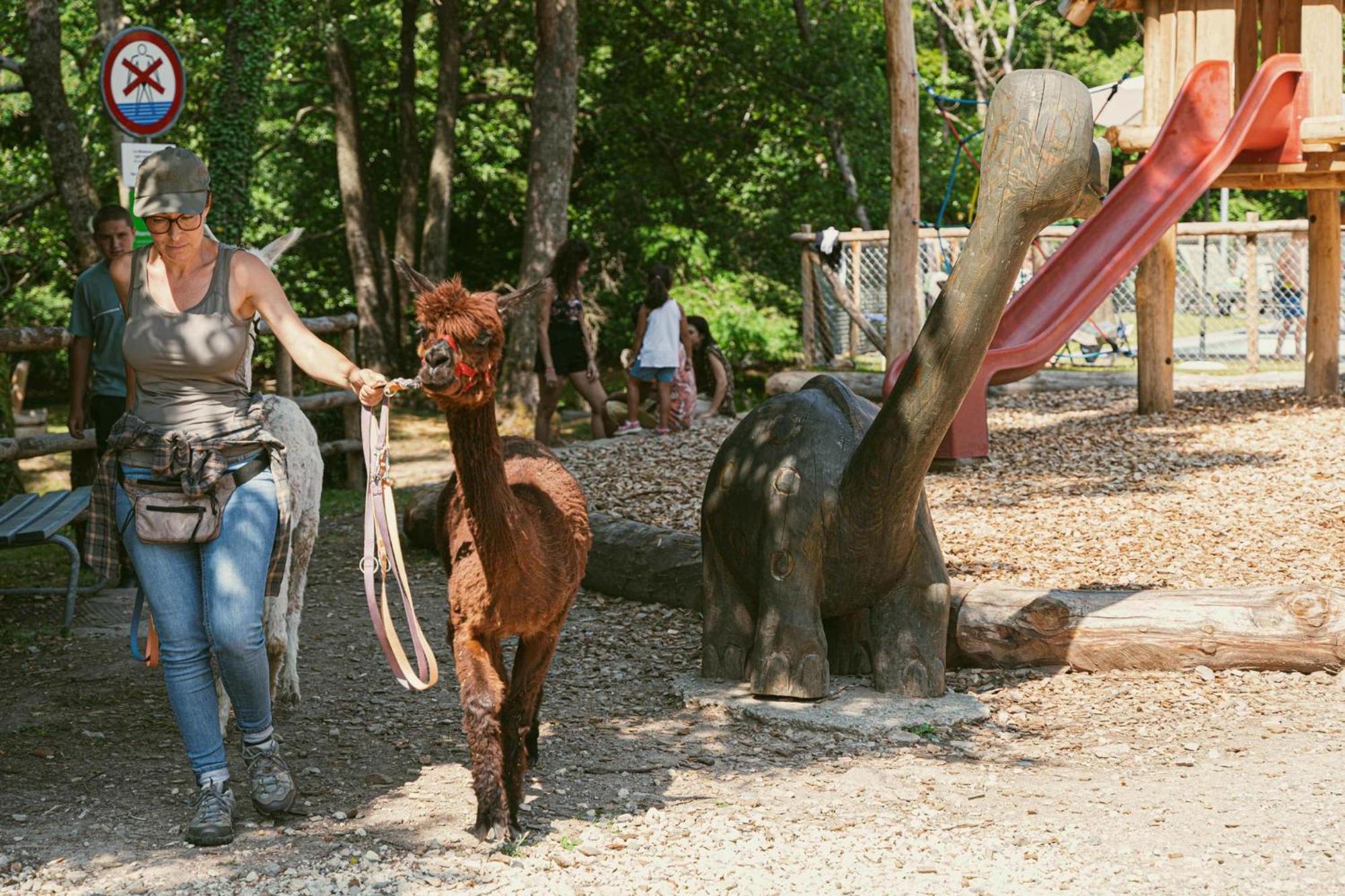 Meride Ca Stella Camping Del Monte San Giorgio מראה חיצוני תמונה