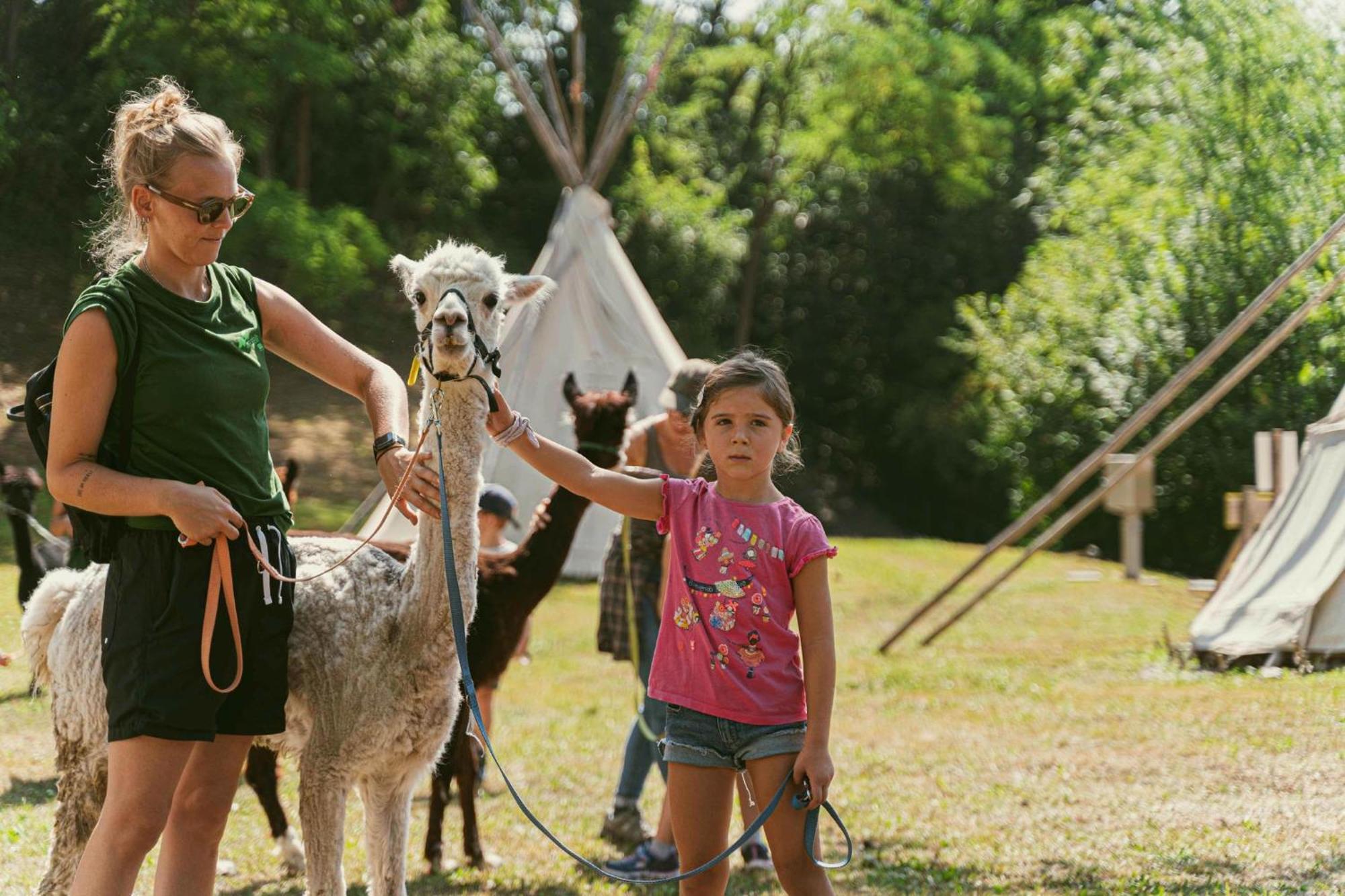 Meride Ca Stella Camping Del Monte San Giorgio מראה חיצוני תמונה